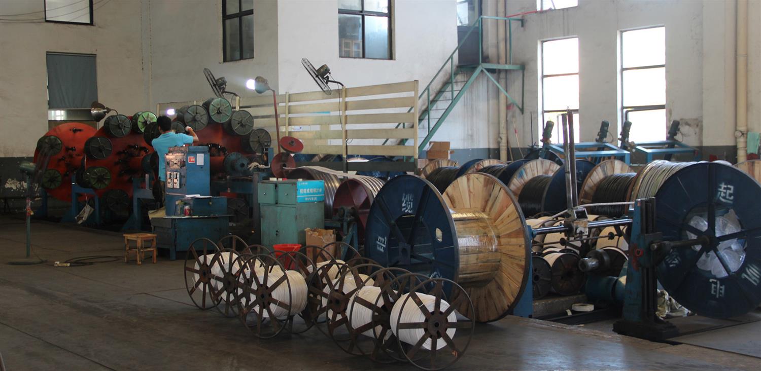 JLY500��1+6+12+18�\�g�C